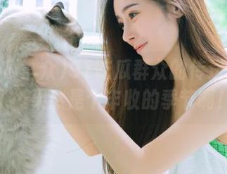 91吃瓜群众的传送门打开了…果然是个丰收的季节啊！