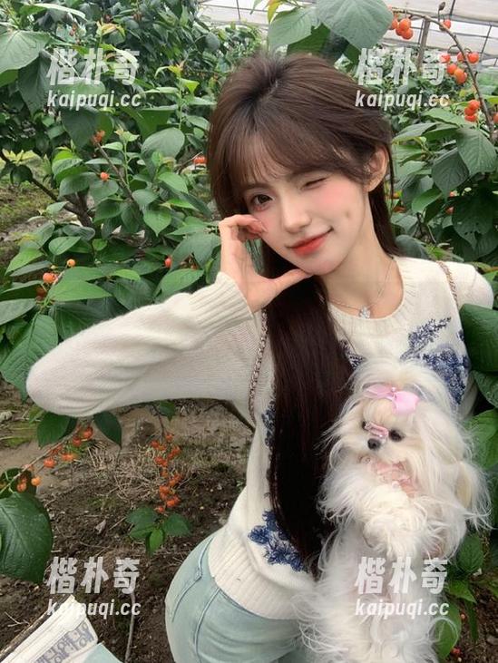 吃瓜网发布：朝阳下，这些吃瓜群众竟然在这里聚会，不可思议！