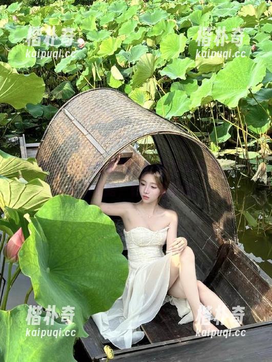就在吃瓜网，这些头条肆意铺开，永不迷路，轻松追最新！