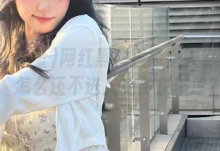 网红黑料正能量入口大揭秘，怎么还不进入免费快车道？